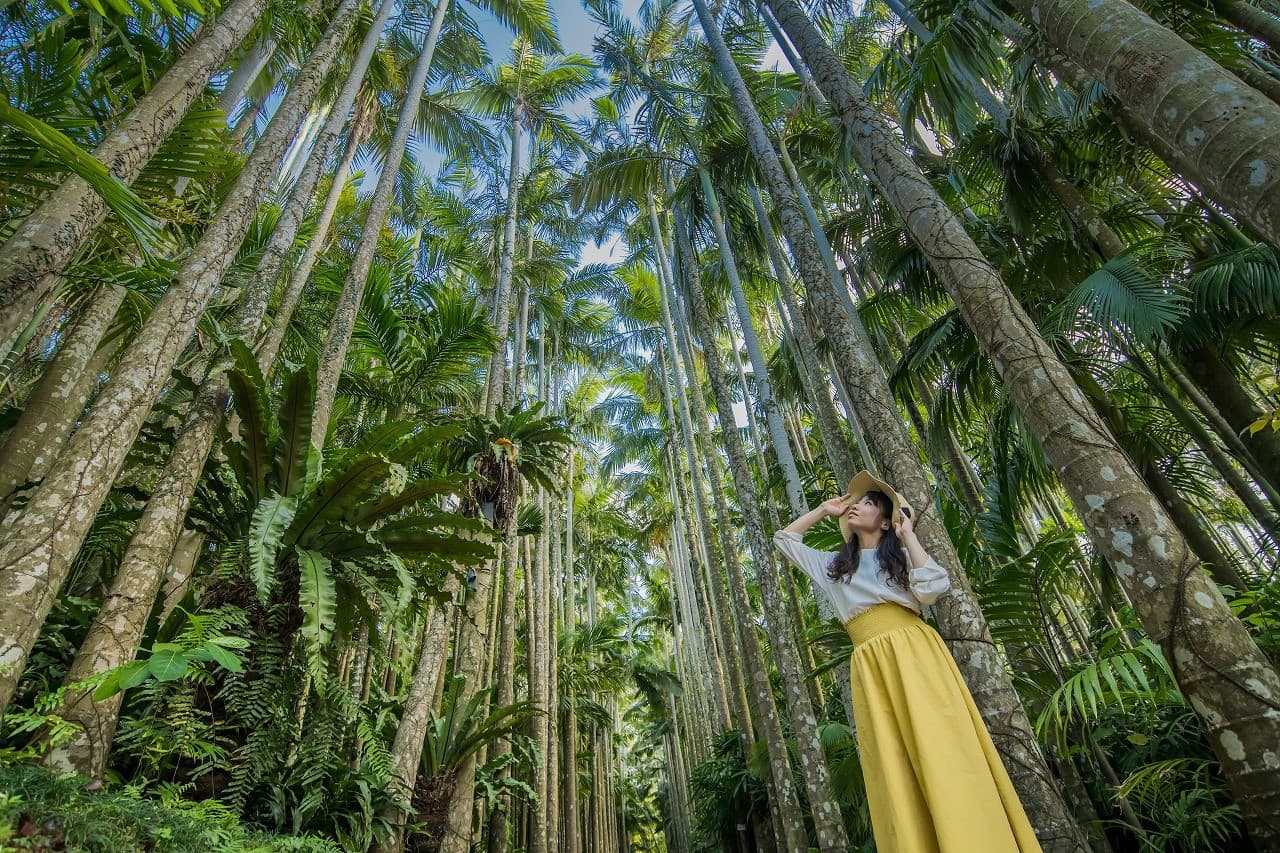 Okinawa Churaumi TokuToku Pass - image 8